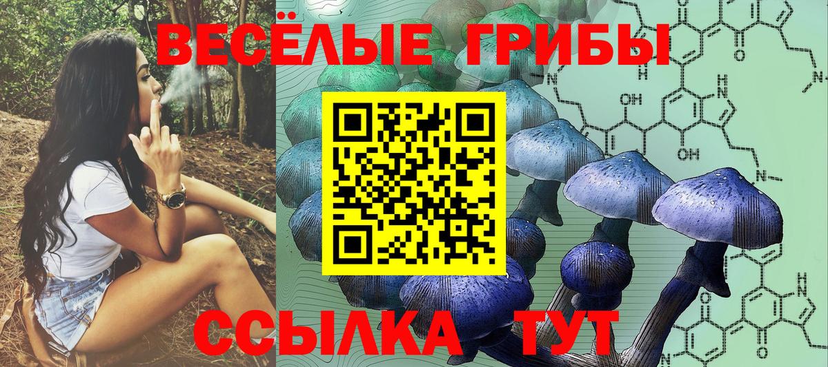 Псилоцибиновые грибы Psilocybine cubensis  Вход с VPN  Псилоцибиновые грибы Magic Shrooms  Муром 