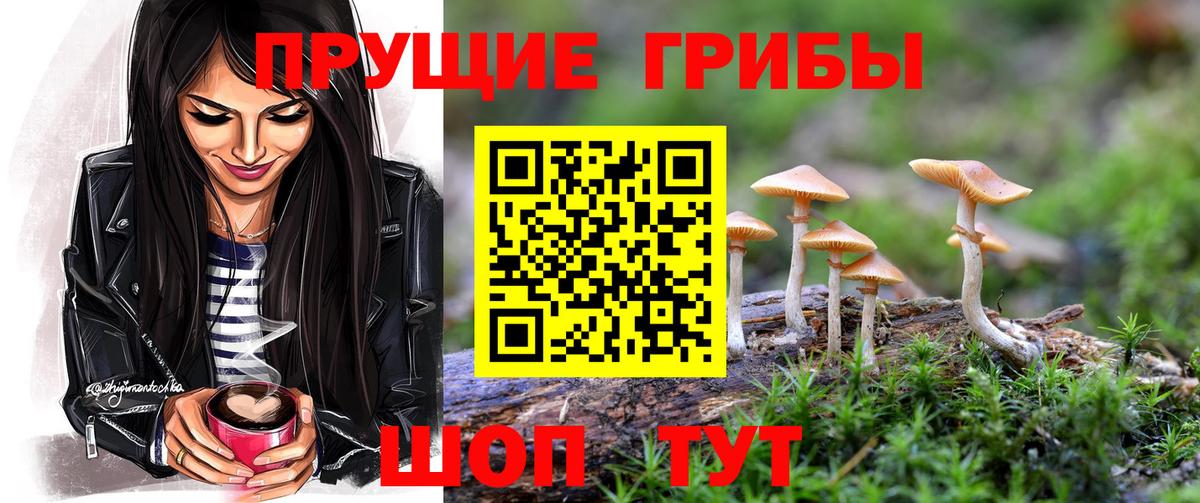Псилоцибиновые грибы Psilocybe Муром